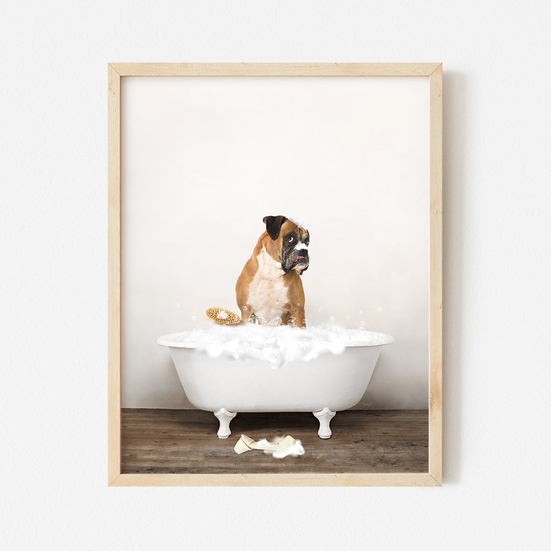 a brown and white dog sitting in a bathtub