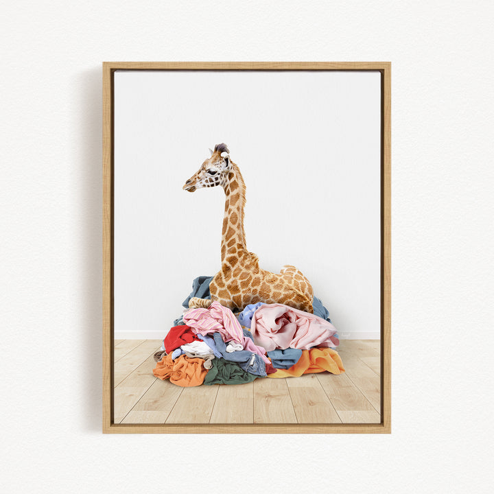 A giraffe standing on a pile of colorful clothes against a white background.