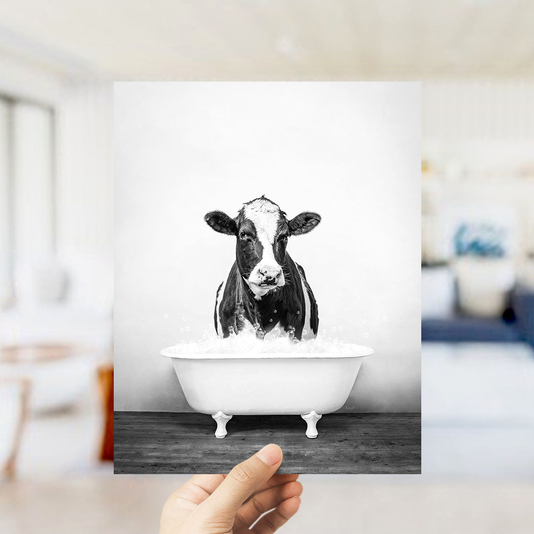 A black and white photograph of a cow sitting in a bathtub filled with water.
