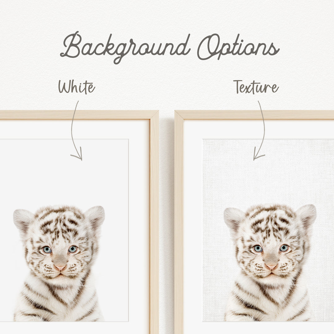 a close-up of a young tiger cub, with a focus on its facial features and expression.