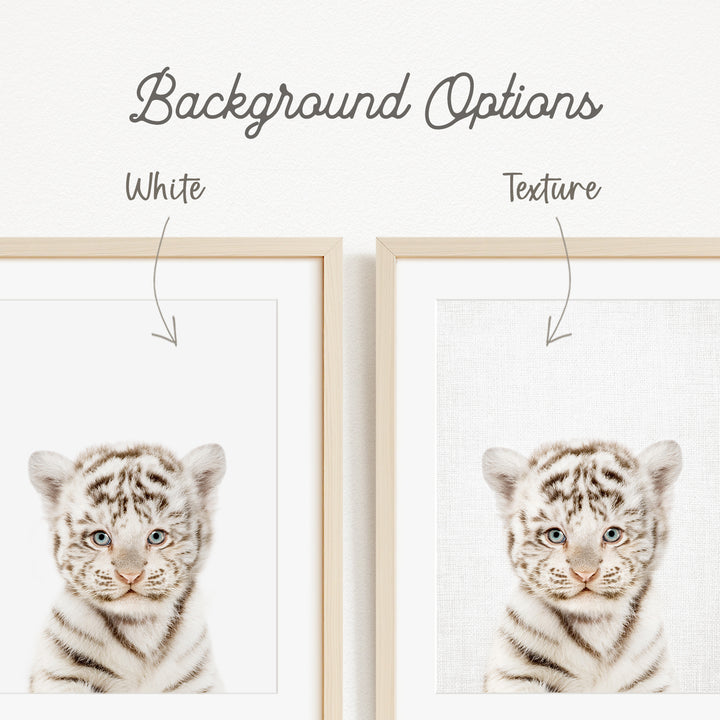 a close-up of a young tiger cub, with a focus on its facial features and expression.