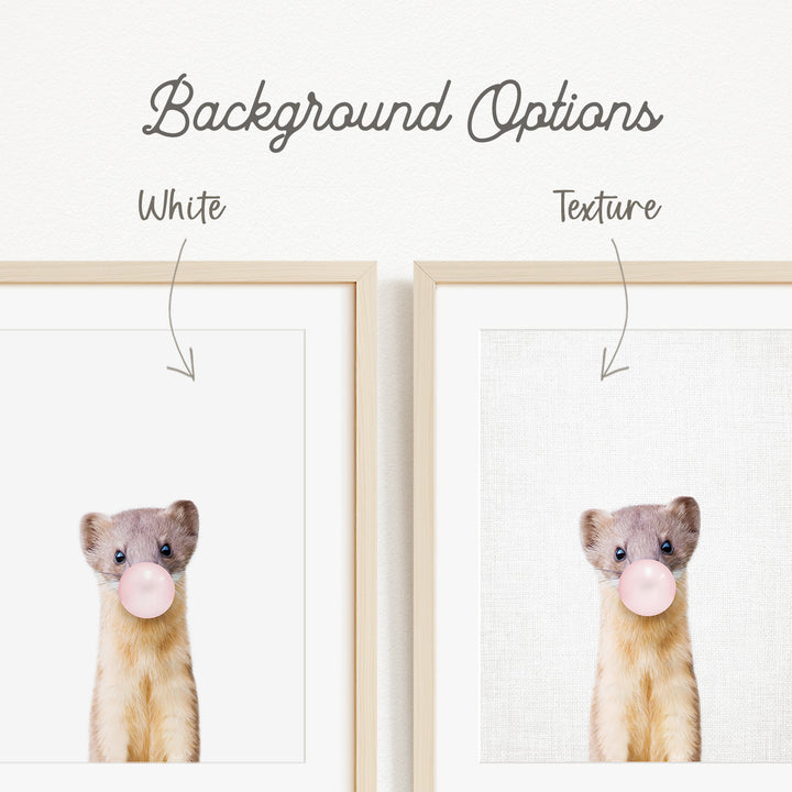 a cute brown and white ferret blowing a bubble with a pink bubble gum bubble.