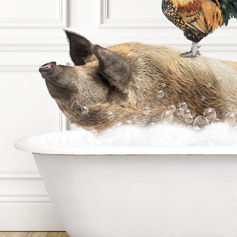 a pig in a bathtub with a chicken on top of it