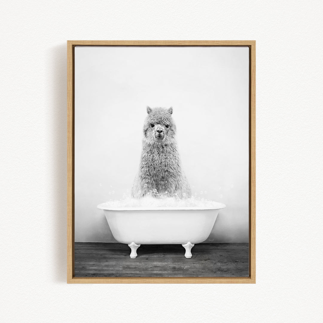 A fluffy gray llama sitting in a white bathtub filled with bubbles, creating a whimsical and playful scene.
