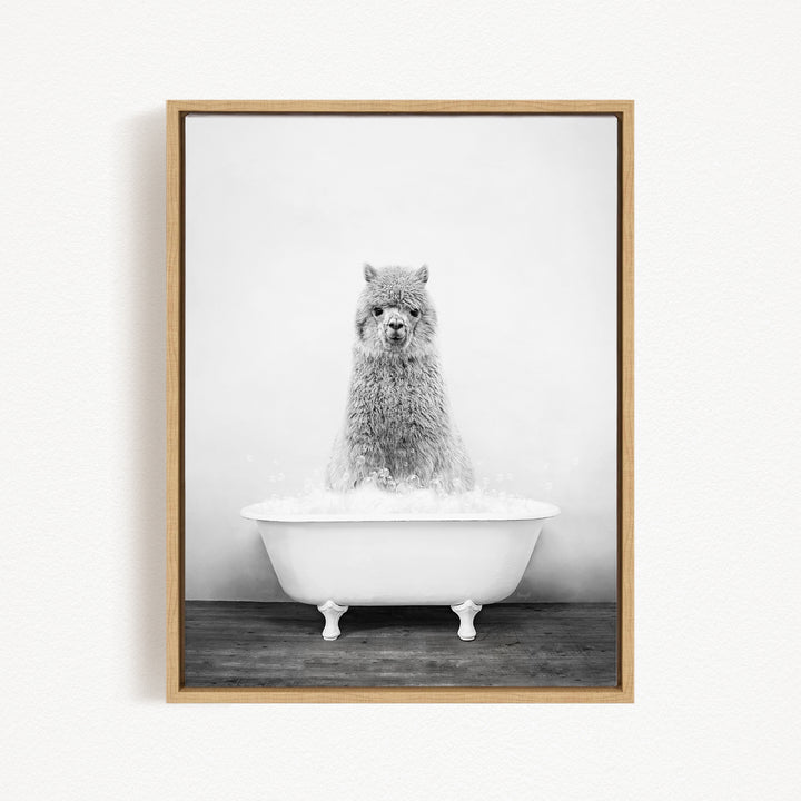 A fluffy gray llama sitting in a white bathtub filled with bubbles, creating a whimsical and playful scene.
