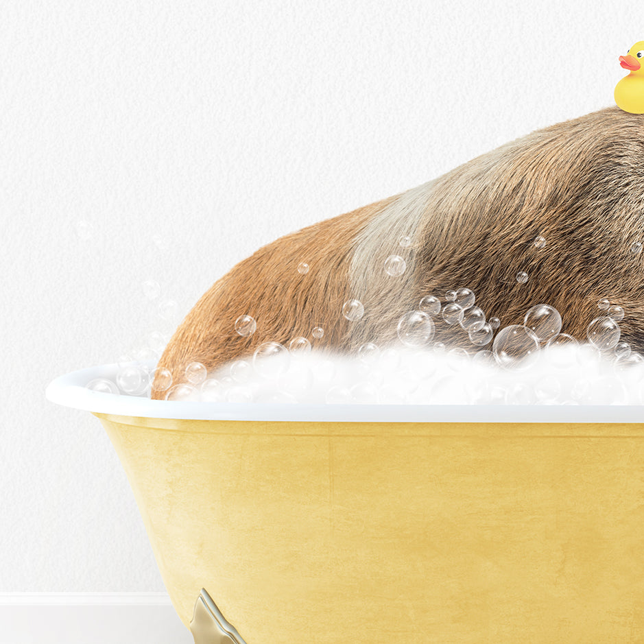 a dog in a bathtub with bubbles and a rubber duck