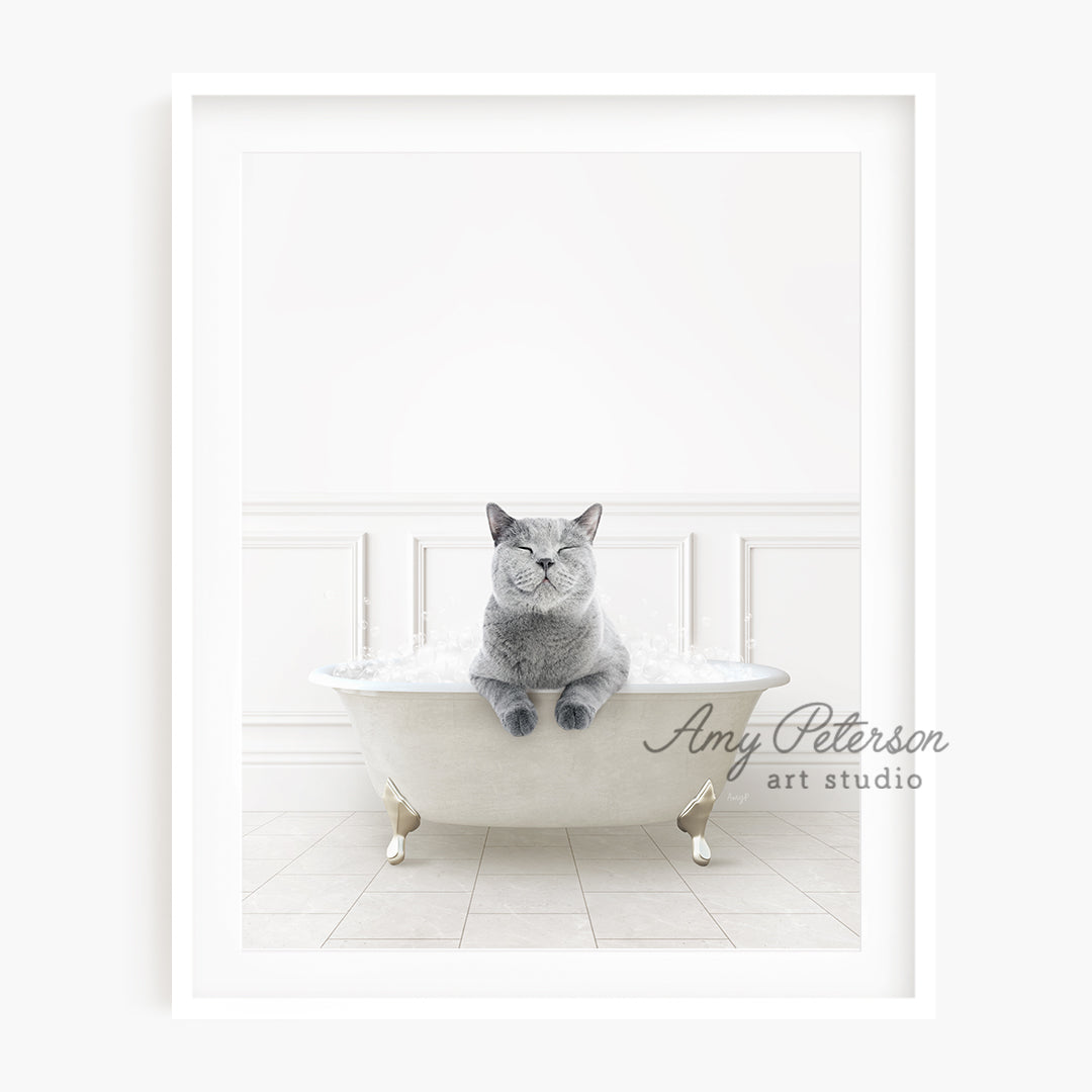 a cat sitting in a bathtub with a white background