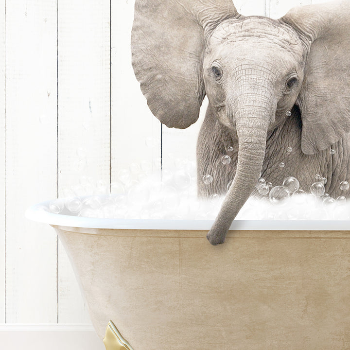 a baby elephant is taking a bath in a bathtub