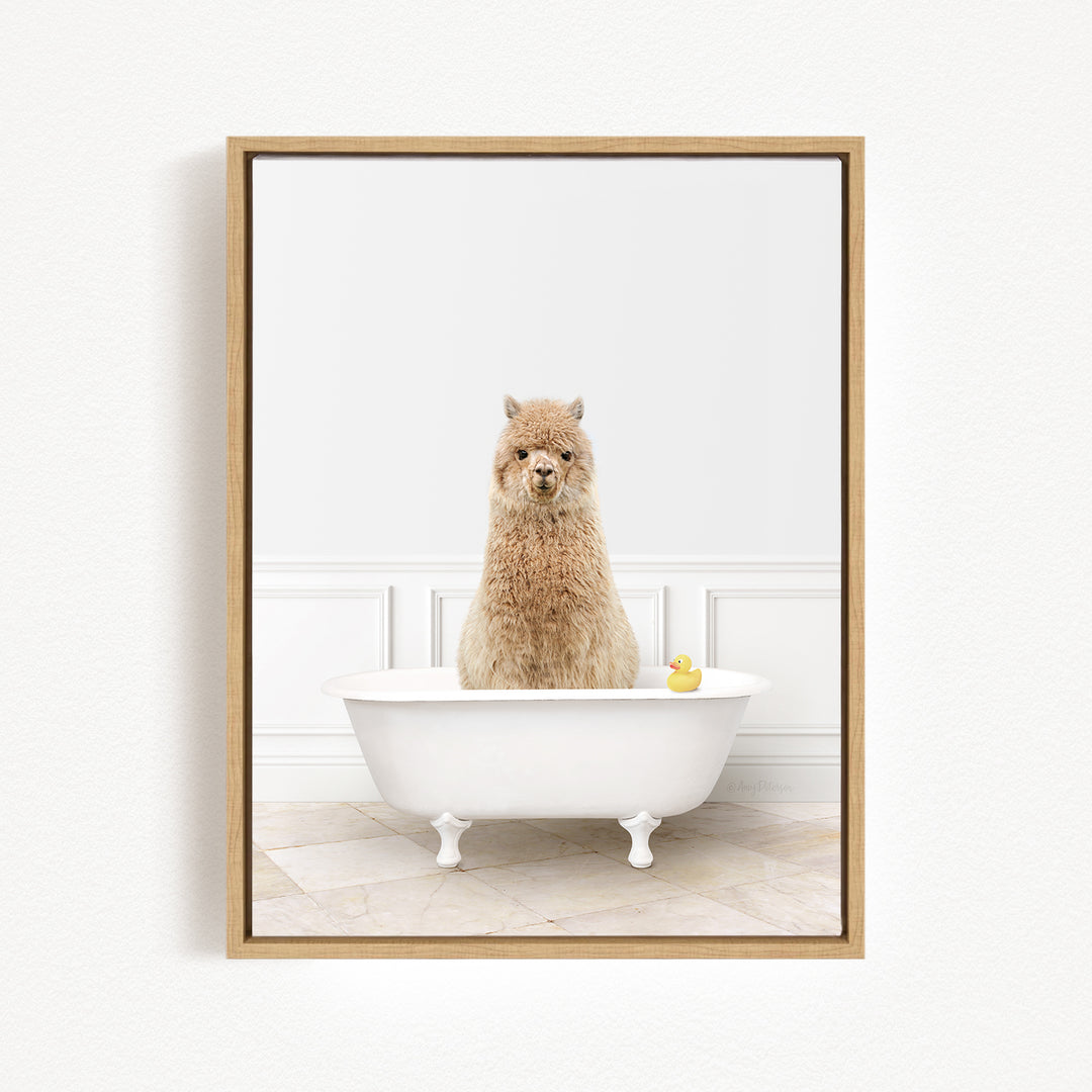 A fluffy brown dog is sitting in a white bathtub, with a yellow rubber duck floating in the water.