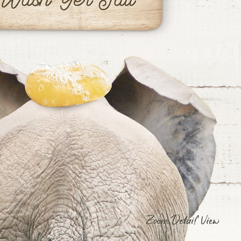 a close-up view of an elephant's head and ears, with a yellow object, possibly a piece of fruit or a treat, placed on the elephant's head.