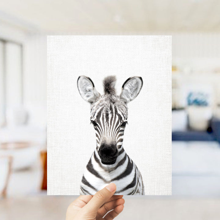 A hand is holding up a square print of a zebra's face, showcasing its distinctive black and white stripes.