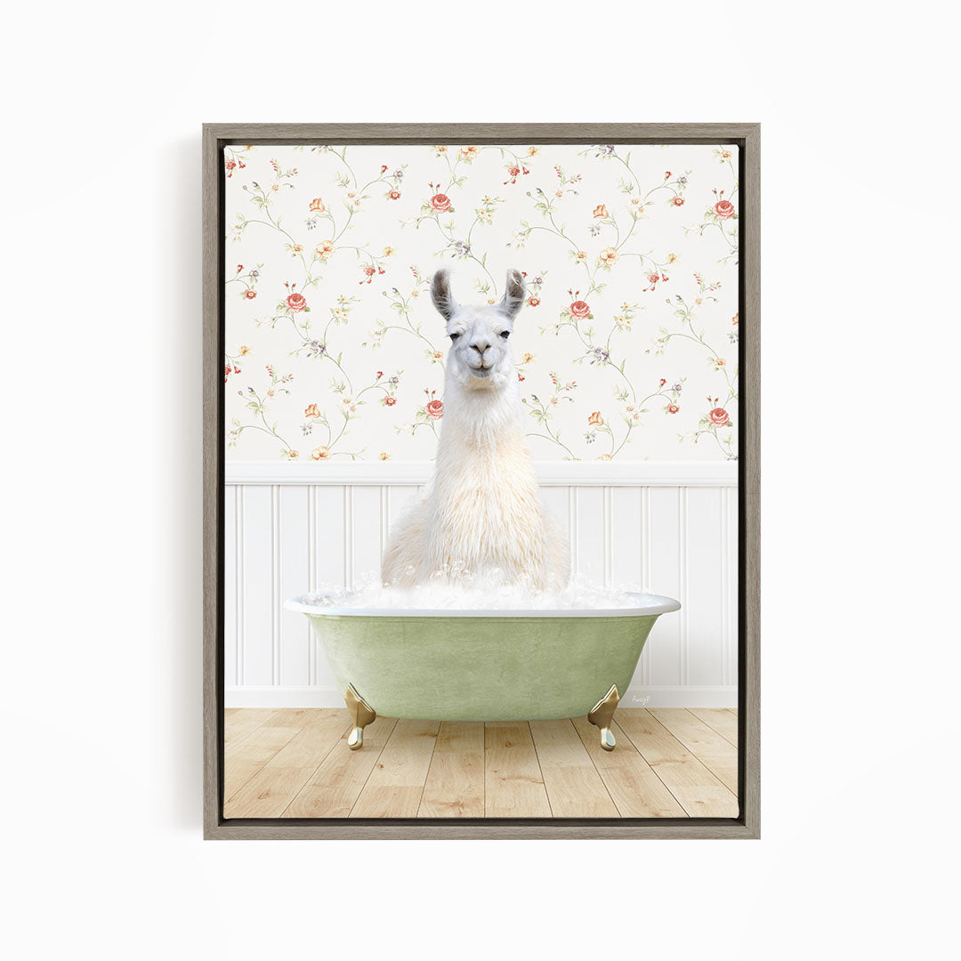 A white llama sitting in a green bathtub filled with water, with a floral wallpaper in the background.