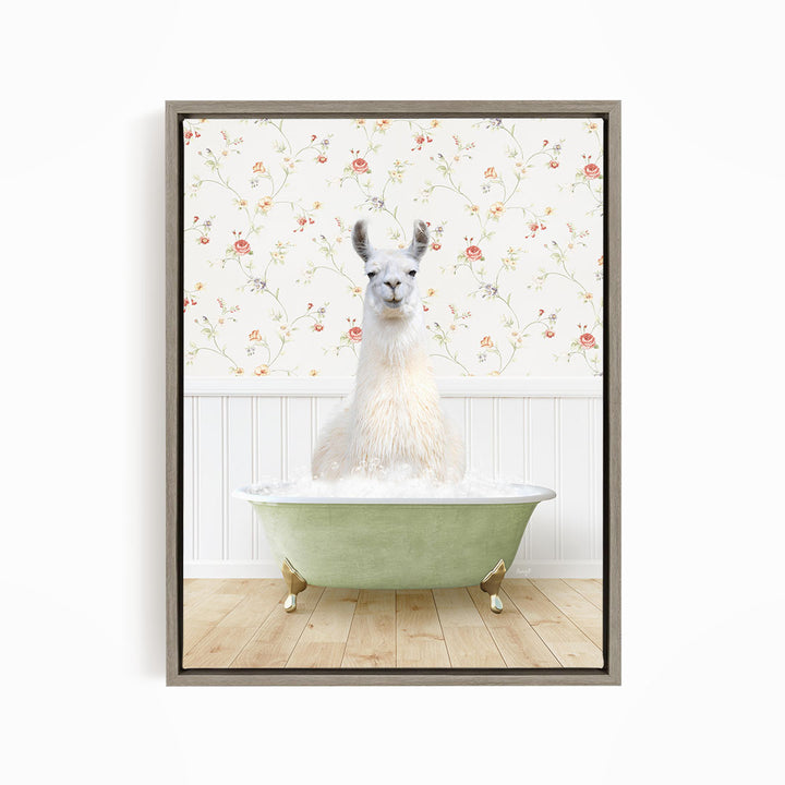 A white llama sitting in a green bathtub filled with water, with a floral wallpaper in the background.