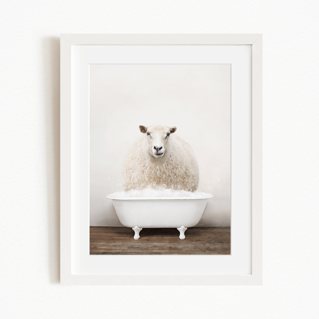 A fluffy white sheep sits in a white bathtub filled with bubbles, looking directly at the camera.