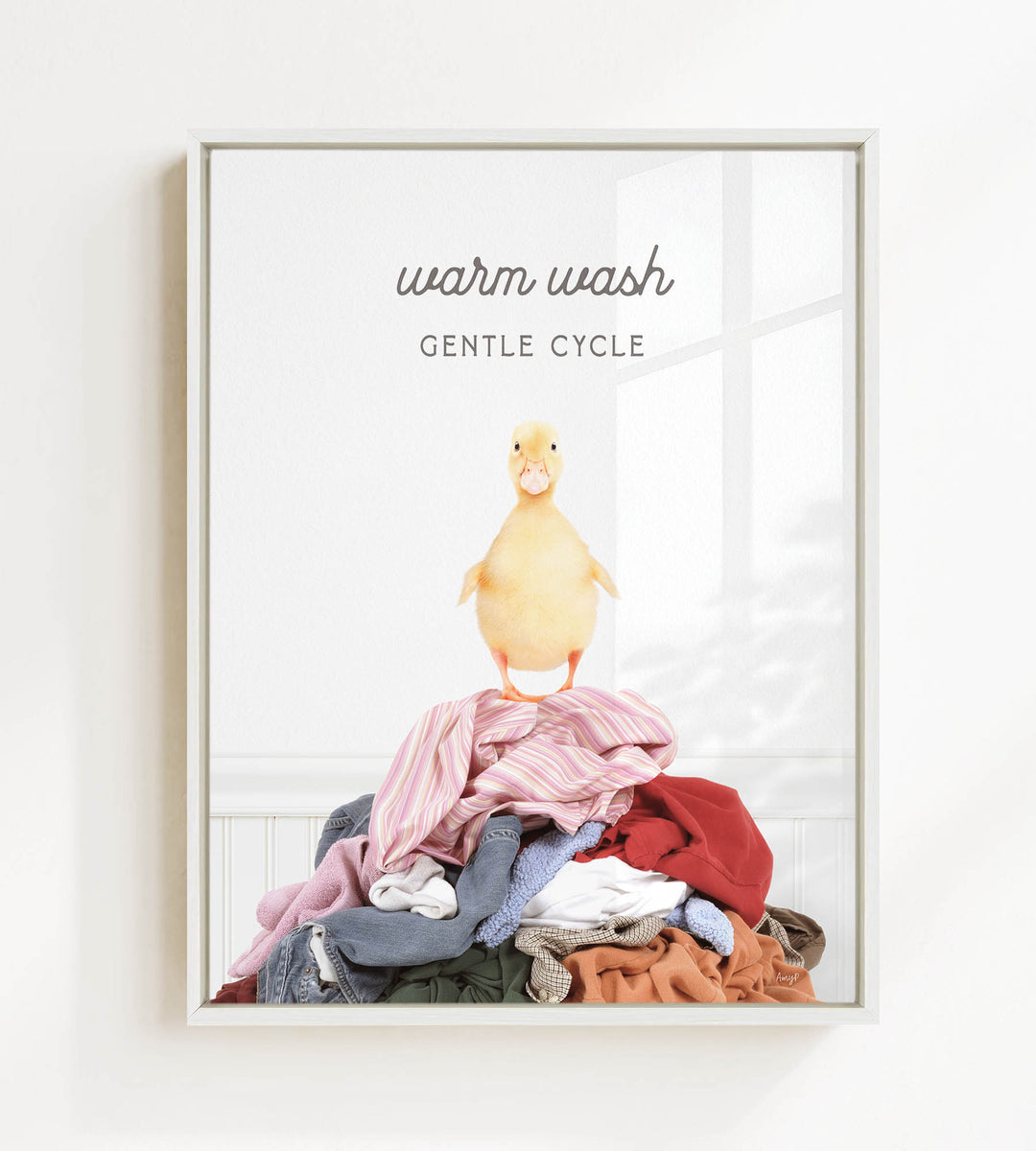 A yellow duck standing on a pile of clothes, with the text "Warm Wash Gentle Cycle" above it.