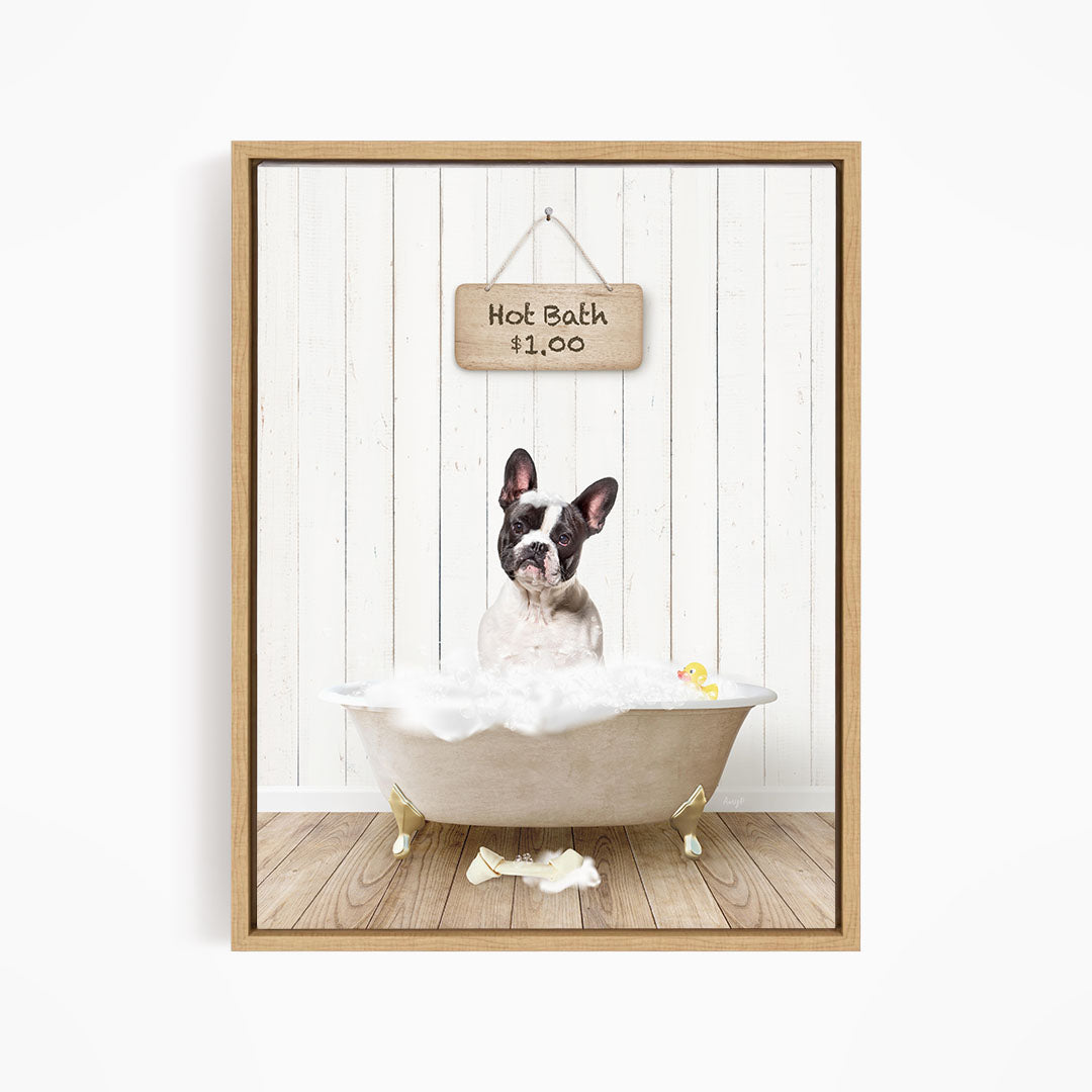 A French Bulldog sitting in a bathtub filled with bubbles, with a sign above the tub that reads "Hot Bath $1.00".
