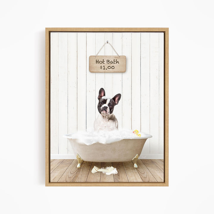 A French Bulldog sitting in a bathtub filled with bubbles, with a sign above the tub that reads "Hot Bath $1.00".