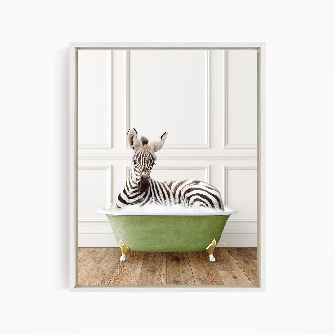 A zebra is sitting in a green bathtub, looking directly at the camera.