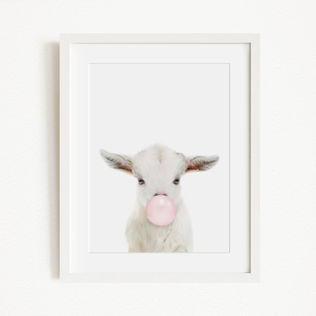A white framed picture of a white goat blowing a bubble with a pink bubble gum bubble.