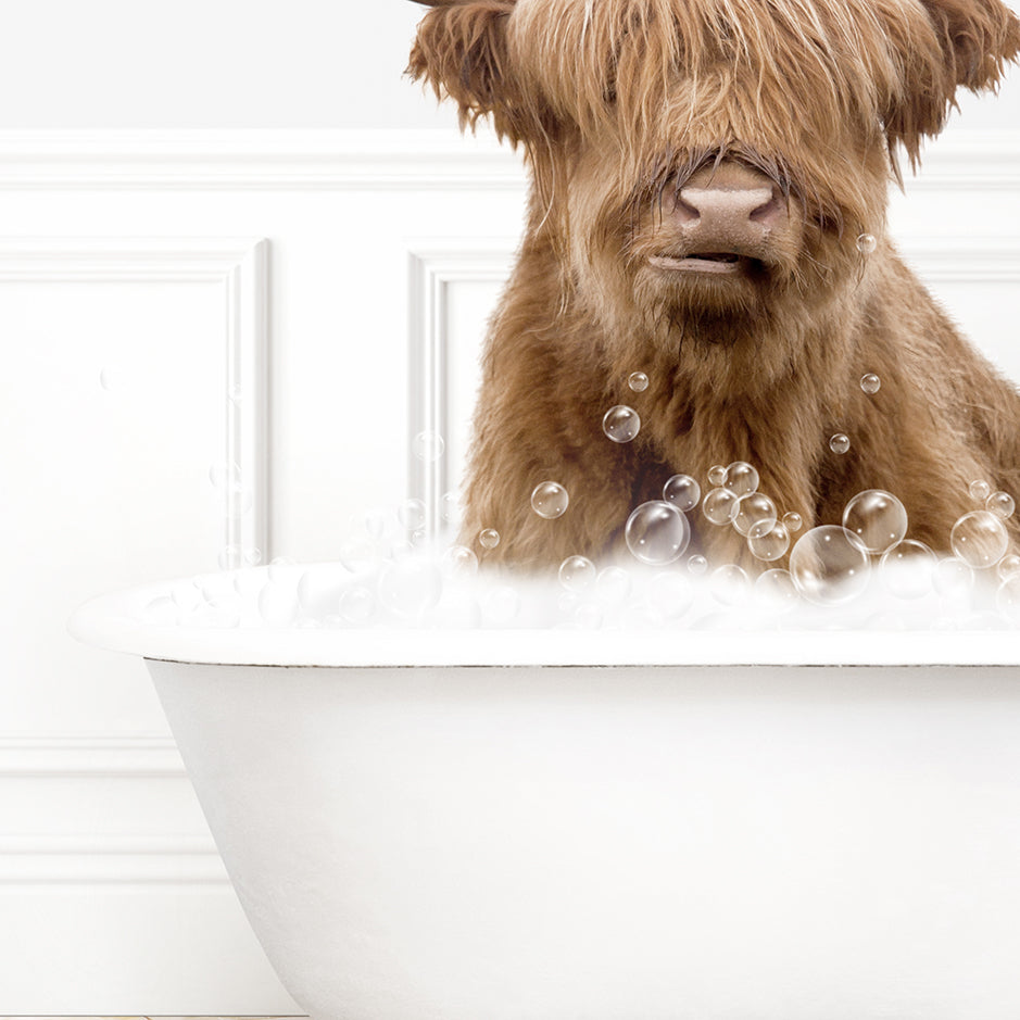 a shaggy dog sitting in a bathtub with bubbles