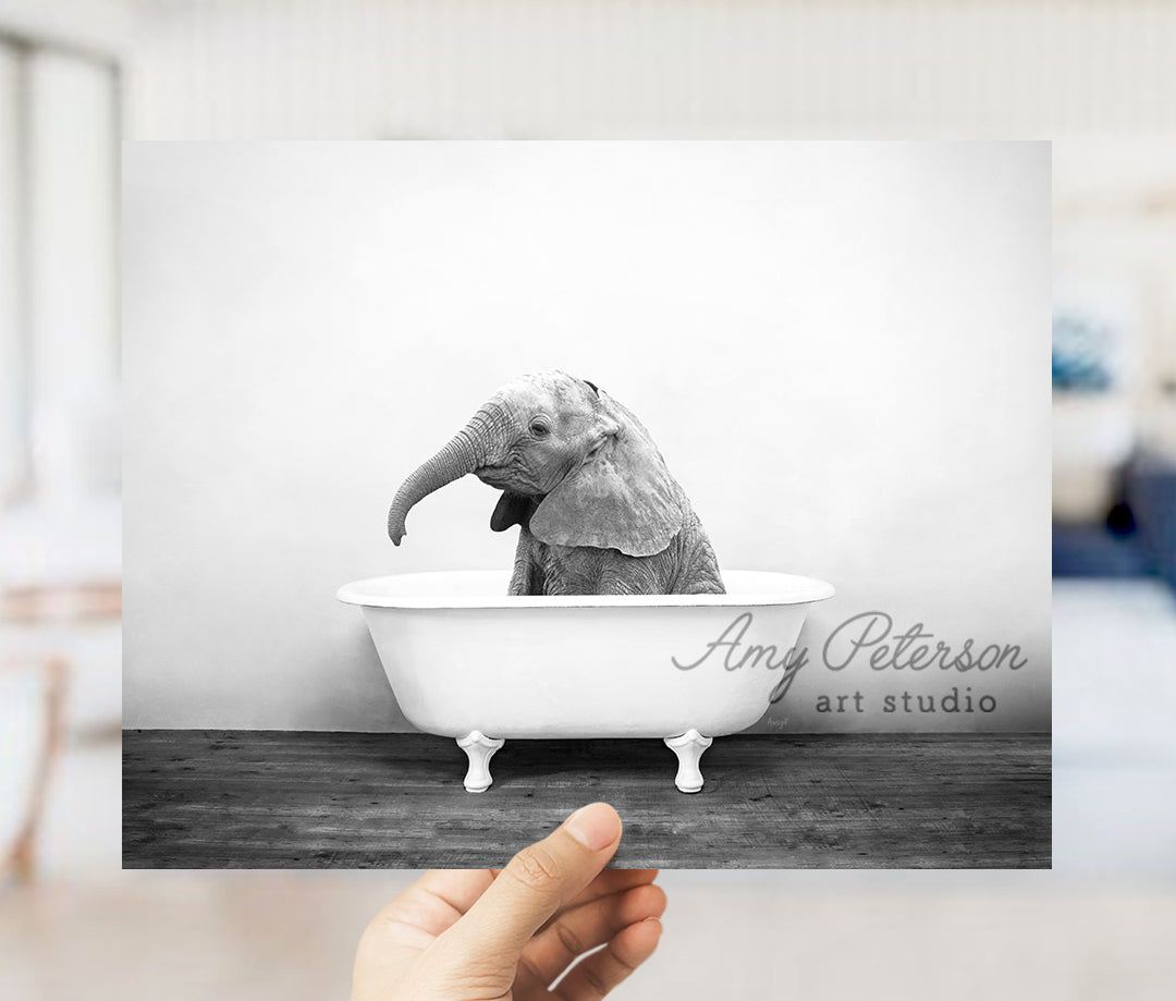 a hand holding up a black and white photo of an elephant in a bathtub