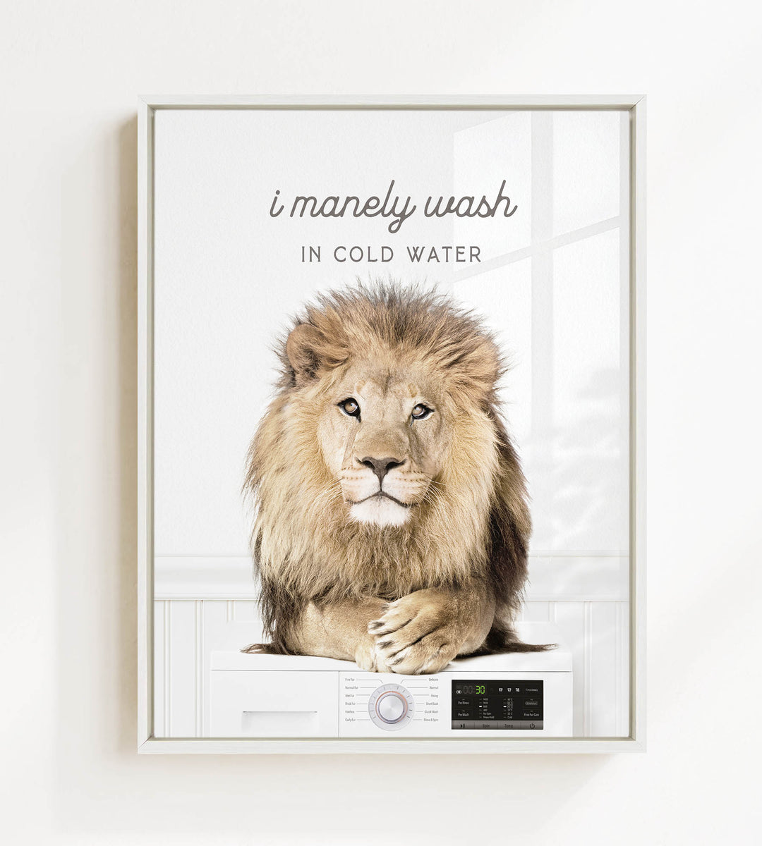 A lion sitting on a washing machine, with the text "I merely wash in cold water" above the image.