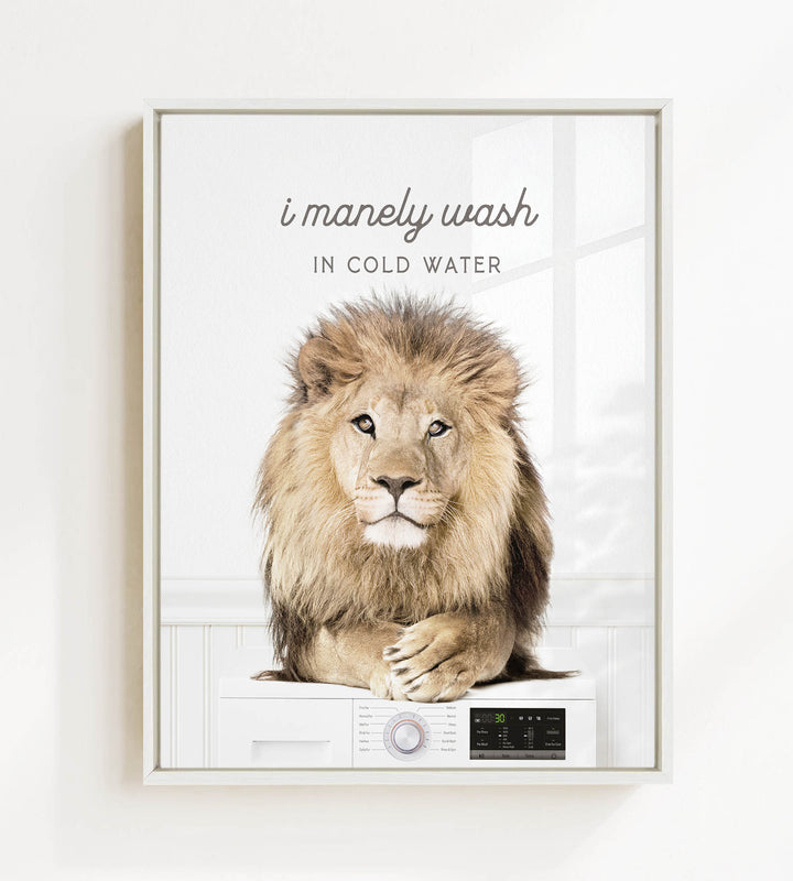 A lion sitting on a washing machine, with the text "I merely wash in cold water" above the image.