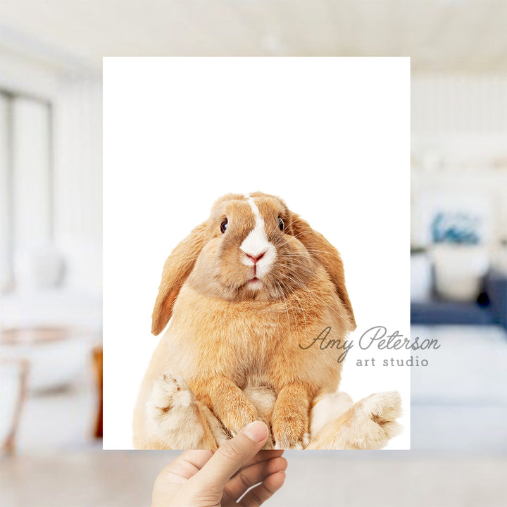 a person holding up a picture of a rabbit