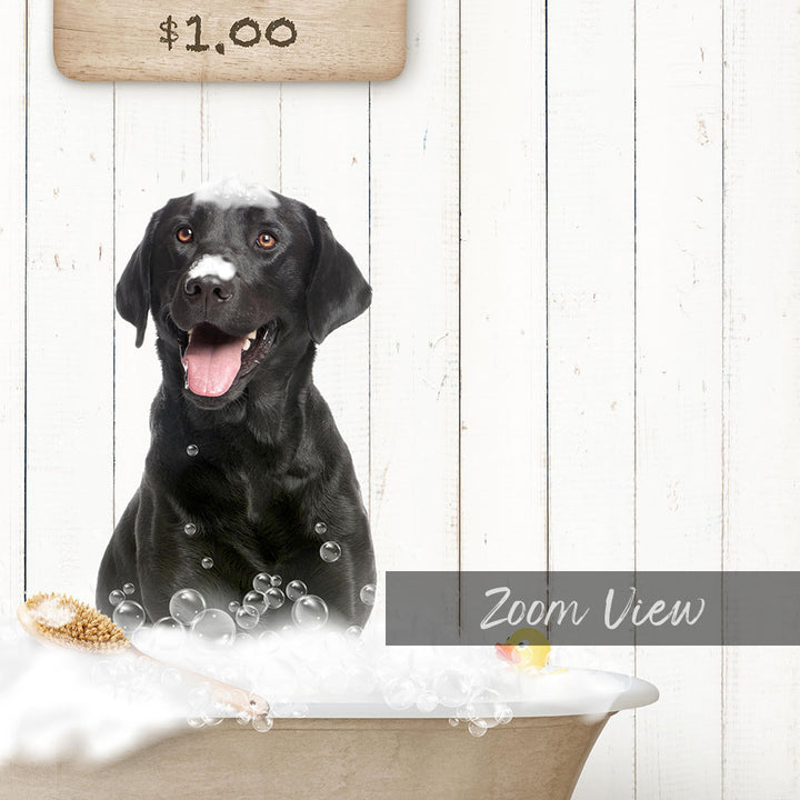 A black dog sitting in a bathtub filled with bubbles, with a wooden sign above the dog displaying "$1.00".