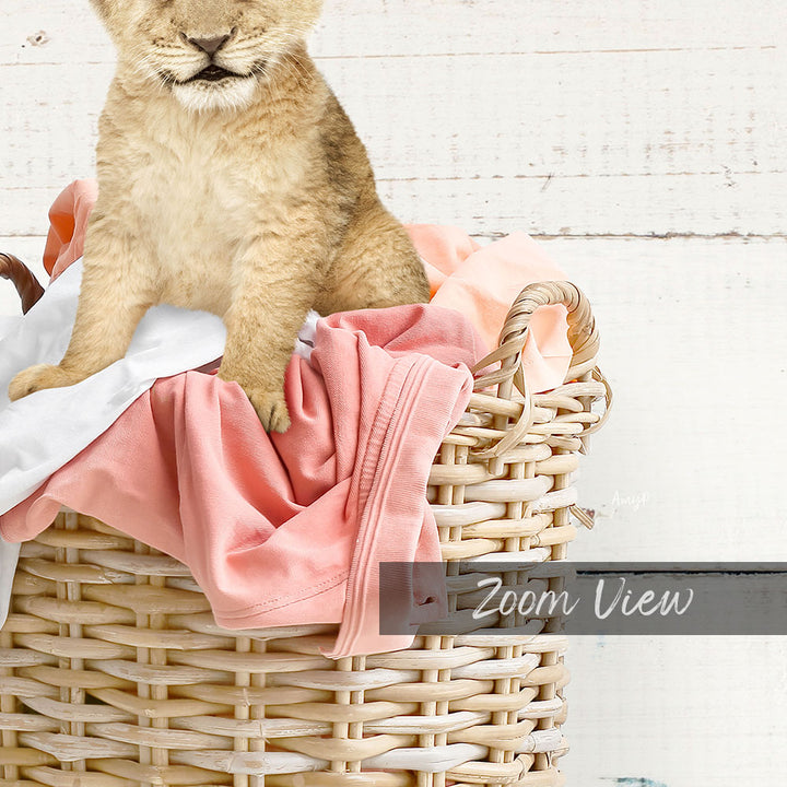 A young lion cub sitting in a wicker basket filled with clothes.