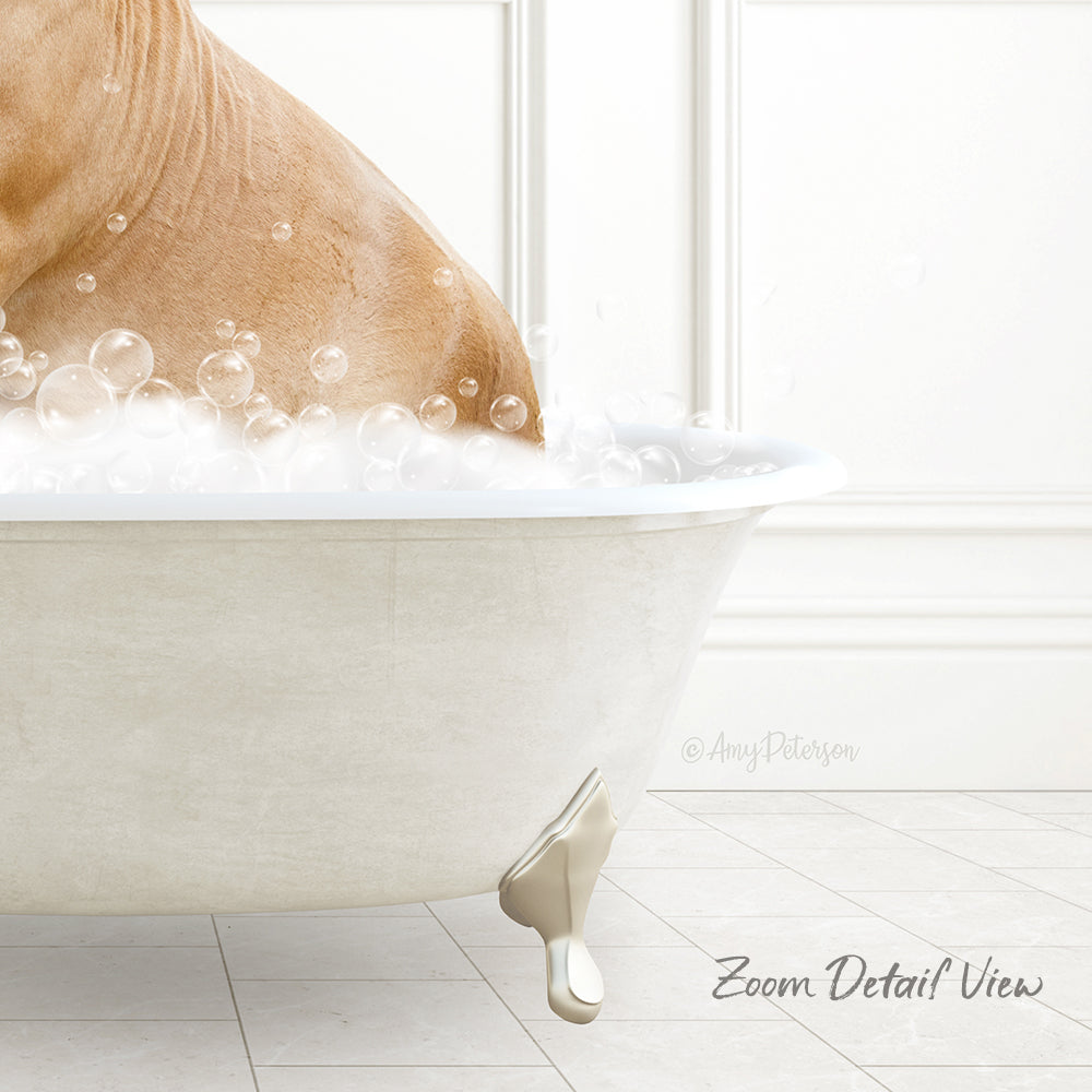 A dog is sitting in a bathtub filled with bubbles, enjoying a relaxing bath.