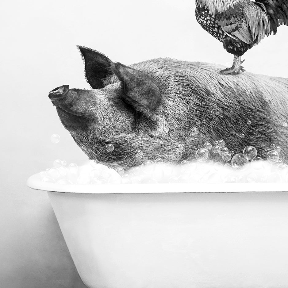 a chicken sitting on top of a pig in a bathtub