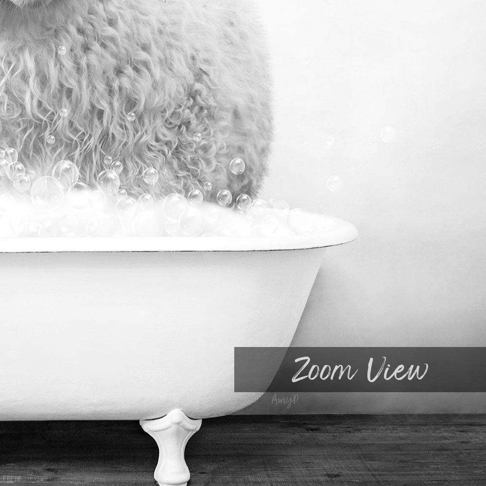 A fluffy white cat sitting in a white bathtub filled with bubbles, with the text "Zoom View" overlaid on the image.
