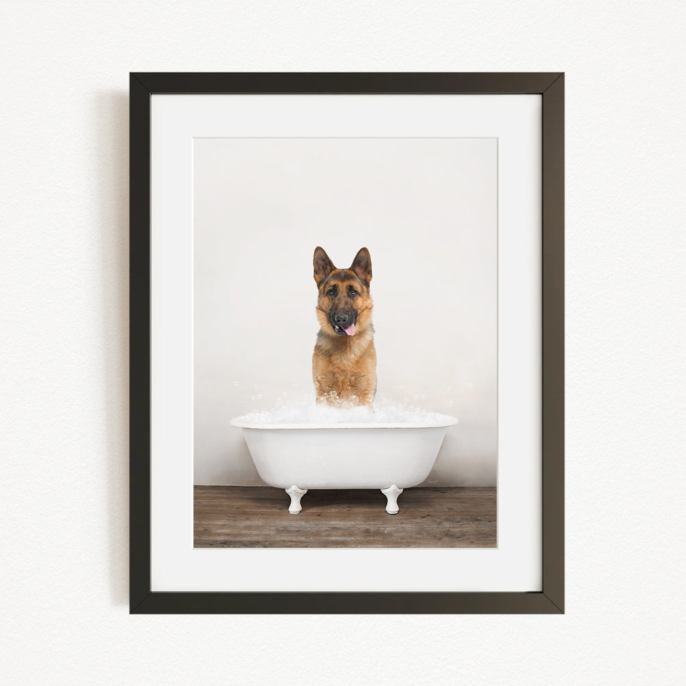 A German Shepherd dog sitting in a white bathtub filled with water, with its tongue hanging out, creating a playful and humorous scene.