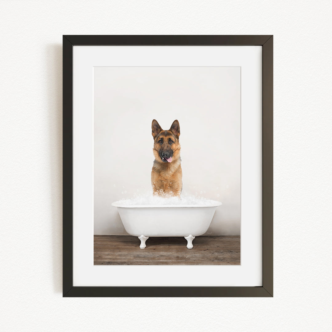 A German Shepherd dog sitting in a white bathtub filled with water, with its tongue hanging out, creating a playful and humorous scene.