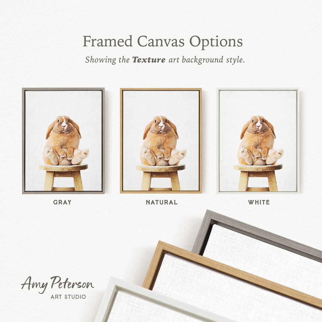 three framed canvas options, each featuring a different background style: gray, natural, and white. The text above the images reads " Framed Canvas Options" and "Showing the Texture art background style."