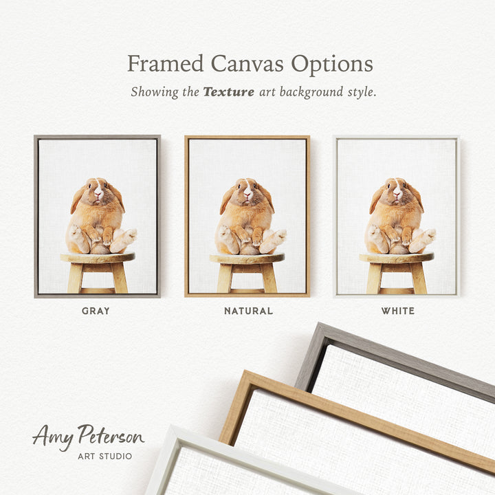 three framed canvas options, each featuring a different background style: gray, natural, and white. The text above the images reads " Framed Canvas Options" and "Showing the Texture art background style."