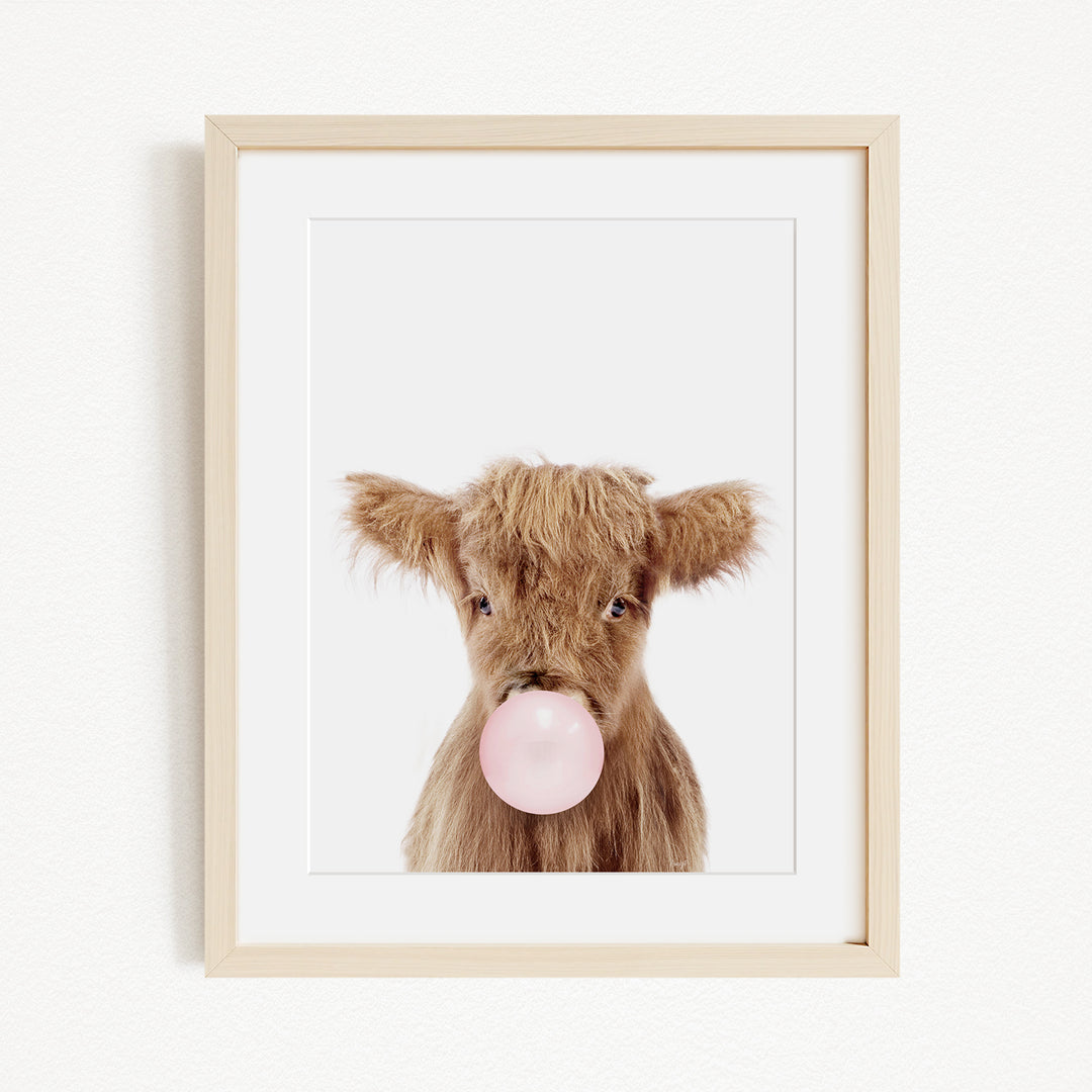 A framed image of a brown cow blowing a bubble with a pink bubble gum bubble.