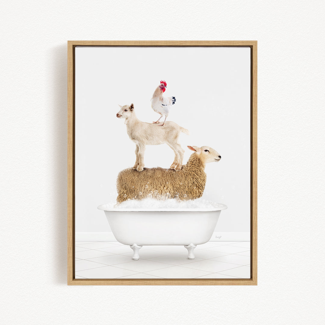 A framed image depicting a goat standing on top of a sheep in a bathtub, with a rooster perched on the sheep's back.