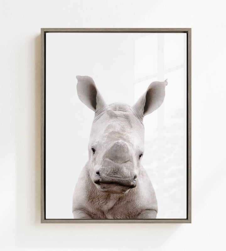 A close-up portrait of a rhinoceros, with its distinctive horn-like ossicones prominently displayed against a plain white background.
