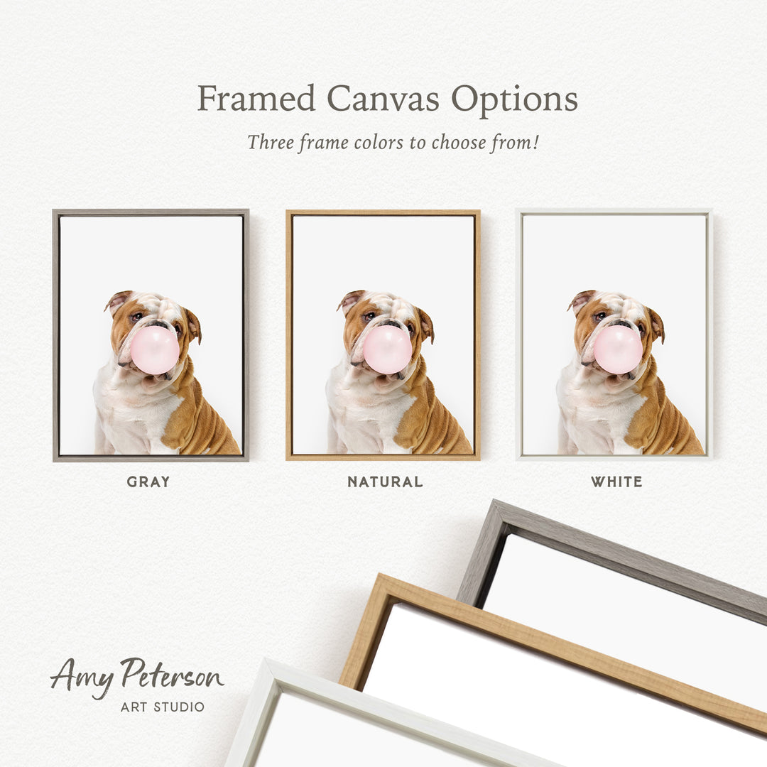 three framed canvas options for a picture of a dog, each with a different frame color: gray, natural, and white.