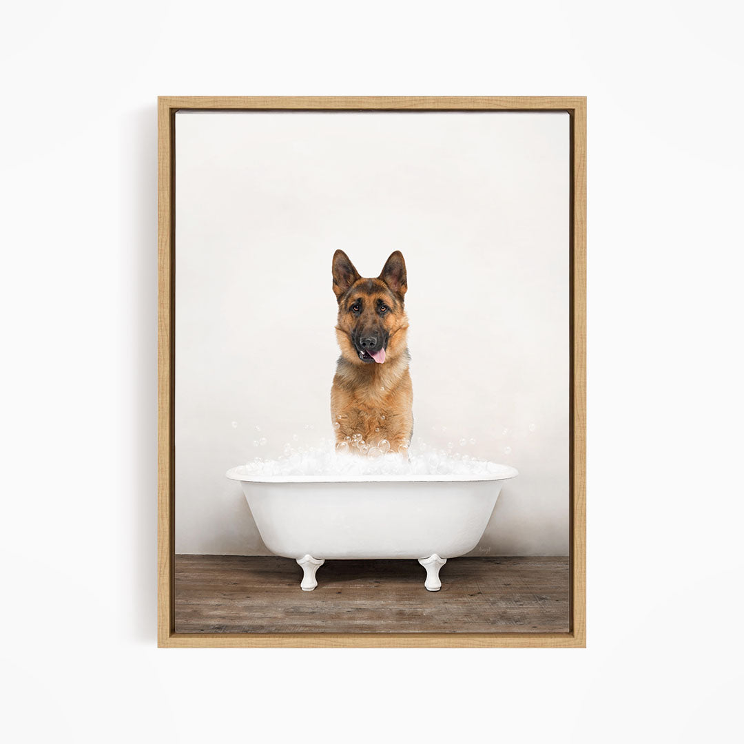 A German Shepherd dog standing in a white bathtub filled with water, with its tongue hanging out, creating a playful and humorous scene.
