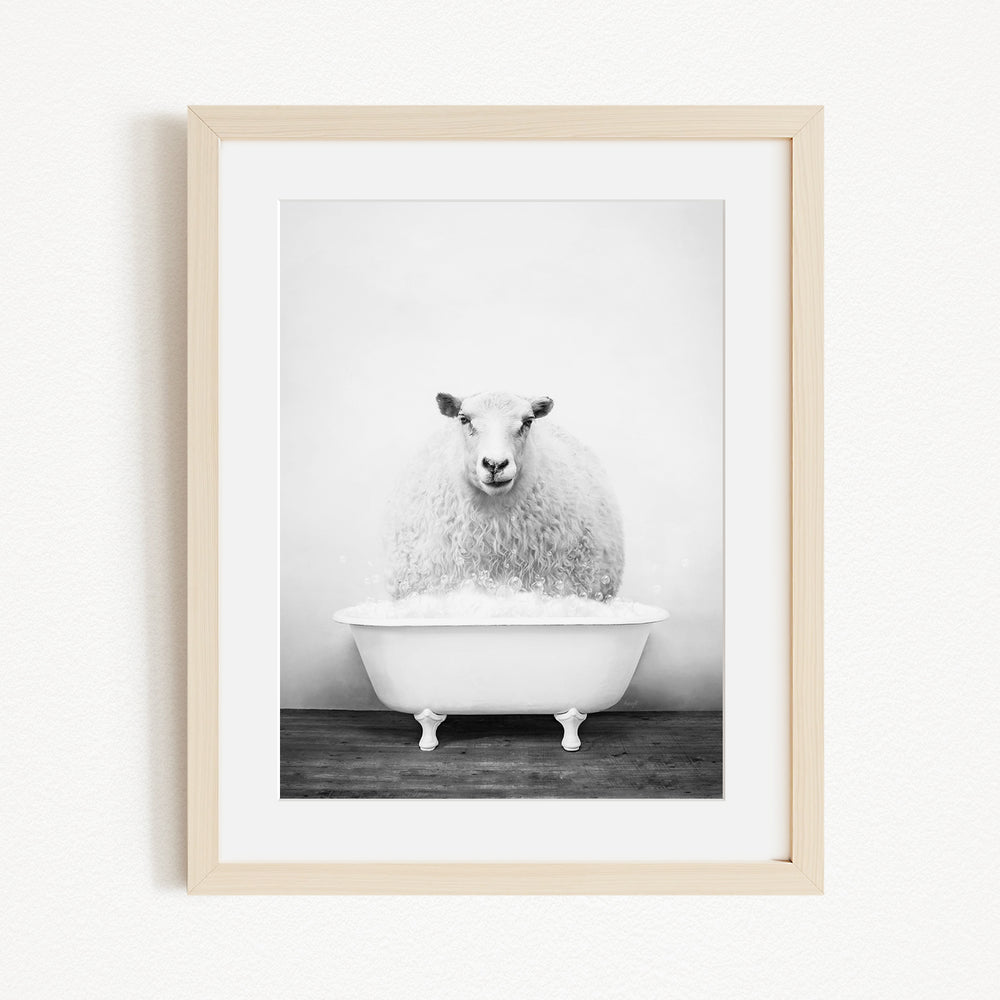 A fluffy white sheep sits in a white bathtub, creating a whimsical and amusing scene.