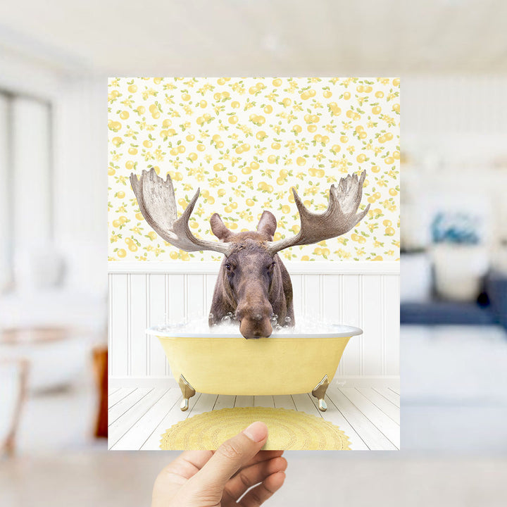 A moose with large antlers is sitting in a yellow bathtub filled with water, surrounded by a yellow and white patterned wall.