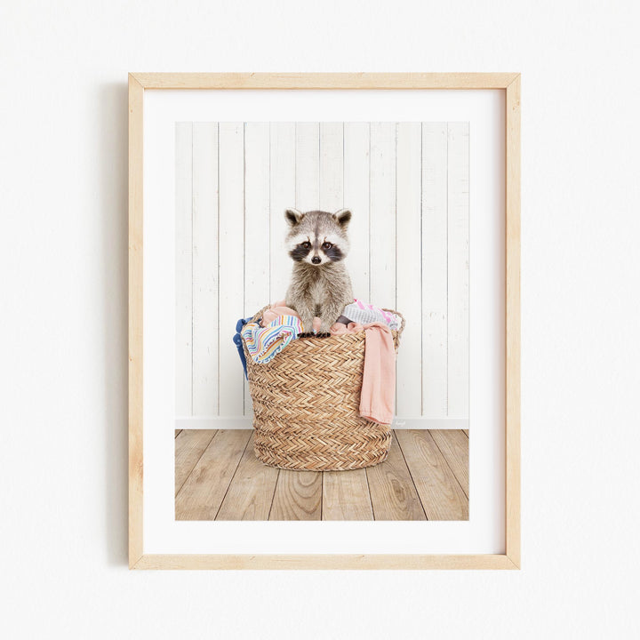 A raccoon sitting in a woven basket filled with clothes.