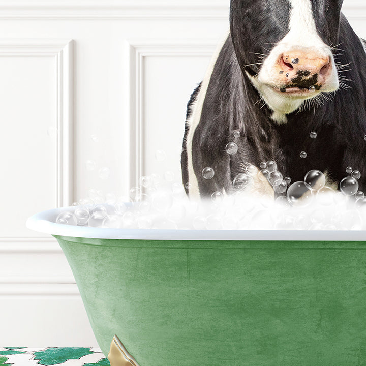 a black and white cow in a green bath tub