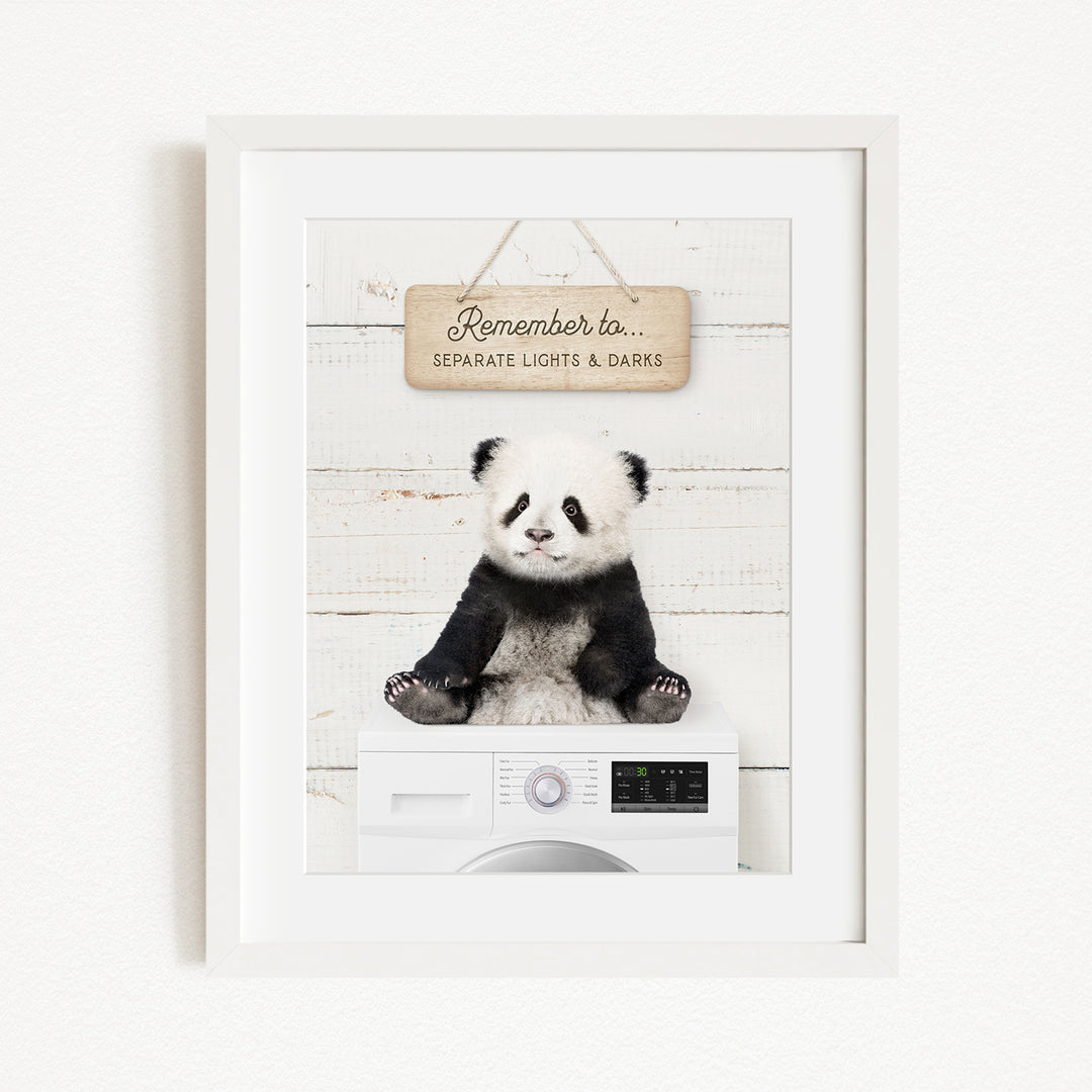 A panda bear sitting on a white washing machine, with a wooden sign above that reads "Remember to separate lights & darks".