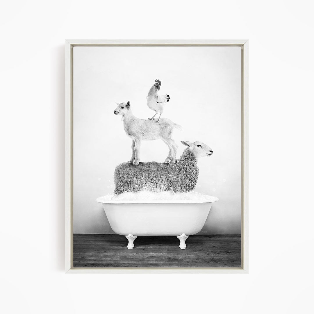 A black and white image depicting three animals - a goat, a chicken, and a sheep - standing on top of a white bathtub filled with water.