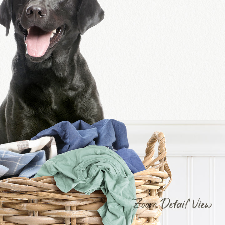 A black dog sitting in a wicker basket filled with clothes, with a white wall in the background.
