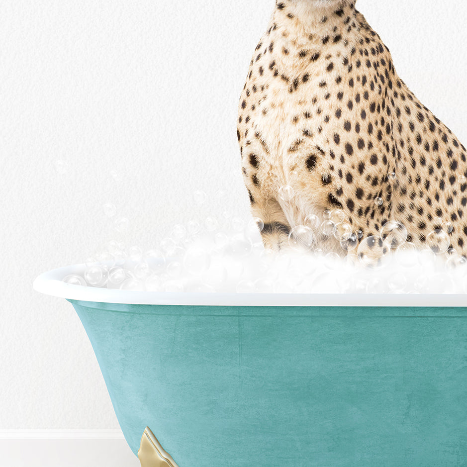 a cheetah sitting in a bathtub full of bubbles